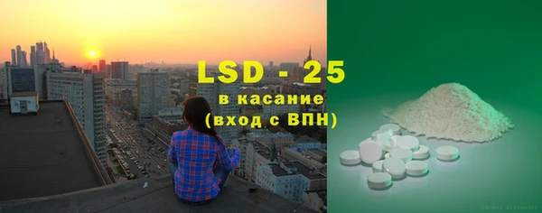 ГАЛЛЮЦИНОГЕННЫЕ ГРИБЫ Няндома