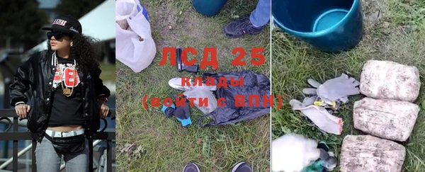 ГАЛЛЮЦИНОГЕННЫЕ ГРИБЫ Няндома