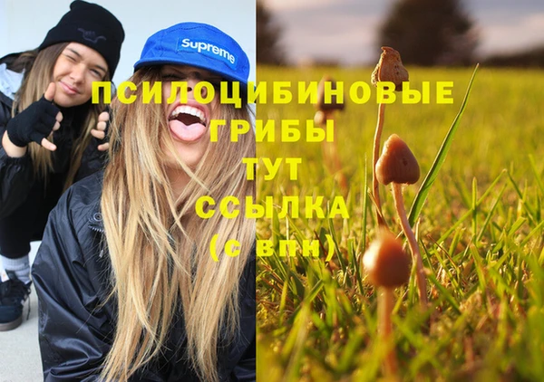 бошки Нягань