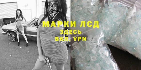 ГАЛЛЮЦИНОГЕННЫЕ ГРИБЫ Няндома